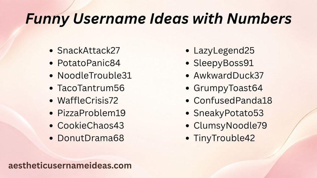 Funny Username Ideas with Numbers