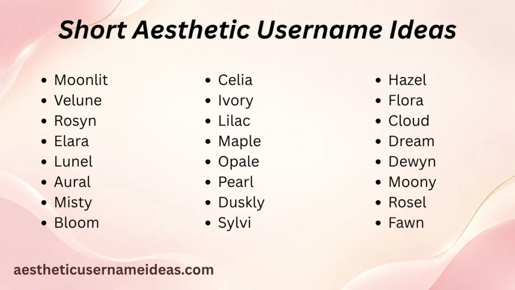 Short Aesthetic Username Ideas