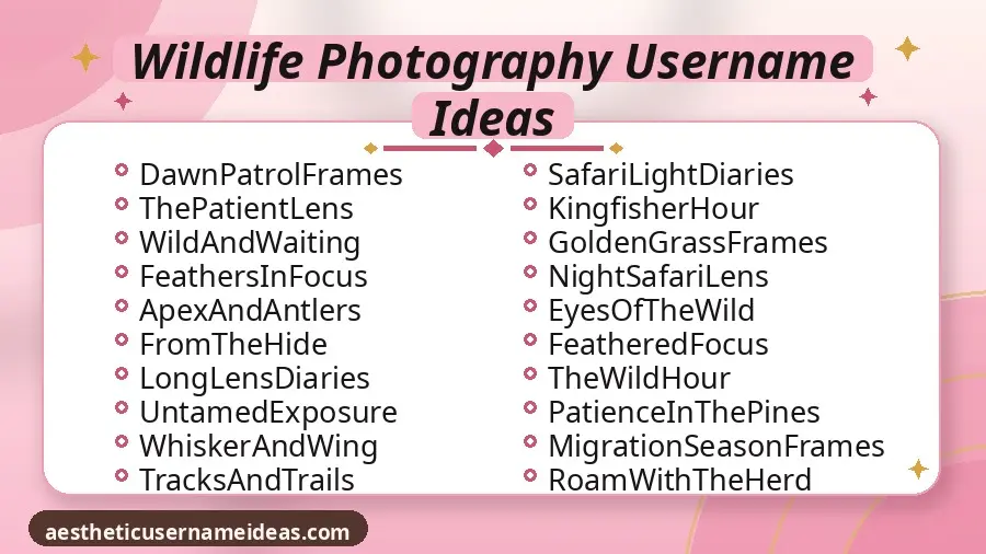 Wildlife Photography Username Ideas